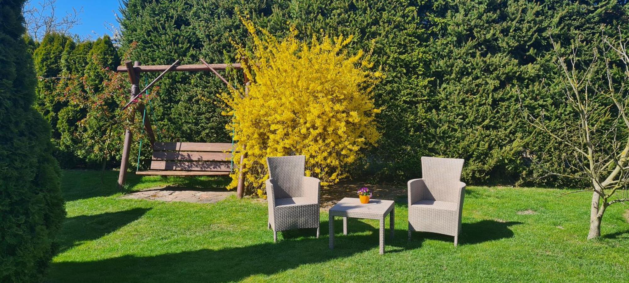 Domki I Pokoje U Asi Stegna  Exteriör bild